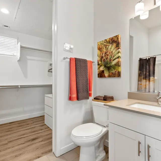 A modern bathroom featuring a sink, toilet, and a closet. The walls are light-colored, and there is a colorful wall art piece. Bath towels are hung on a rack and a shower curtain adds color to the design.