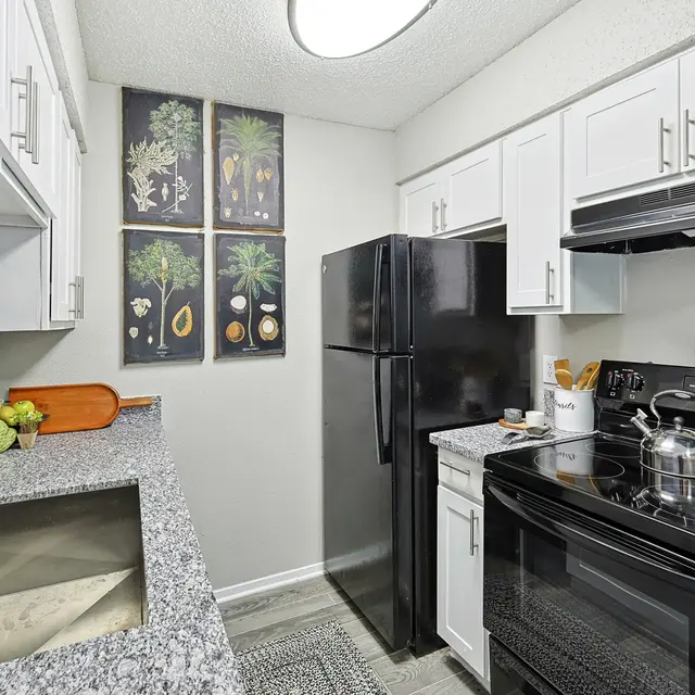 A modern kitchen featuring granite countertops, stainless steel sink, black appliances, and decorative fruit-themed wall art.