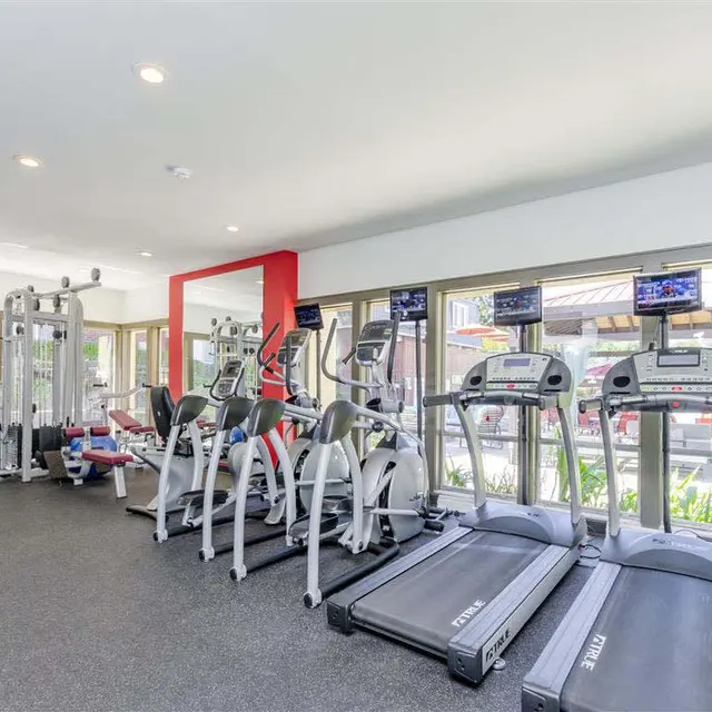 Modern Gym Interior A modern gym interior featuring multiple treadmills, elliptical machines, and a multi-gym station. There are large windows letting in natural light and several TVs mounted on the walls.