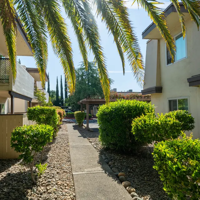 A well-maintained pathway lined with lush greenery and palm trees, leading through an apartment complex.