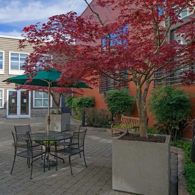 A peaceful courtyard featuring a small black metal table with four chairs under a green umbrella. A vibrant red tree adds color, while the background includes a modern building with large windows.