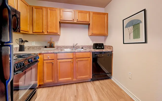 A modern kitchen featuring wooden cabinets, a stainless steel gas stove, and a black dishwasher. The countertop has a small sink, and there is a wall-mounted art piece with a blue tree.