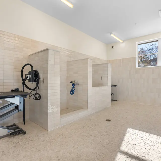 A clean and spacious pet grooming area featuring a hydraulic grooming table and bathing station. The walls are covered in light-colored tiles, and there are large windows letting in natural light.
