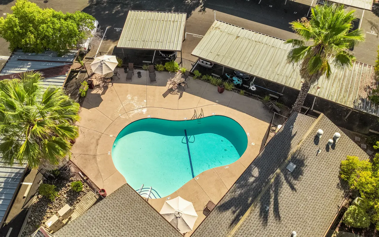 Aerial view of a pool area featuring a clear blue swimming pool surrounded by a deck, lounge chairs, and palm trees.