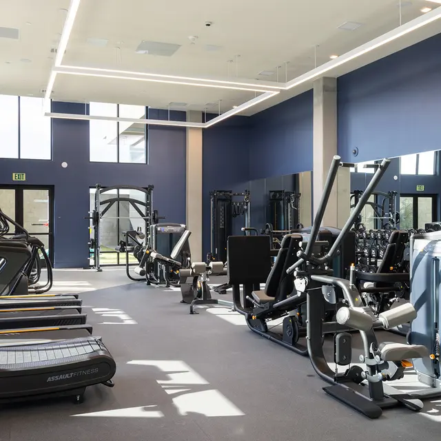 A spacious modern gym interior featuring various exercise equipment including treadmills, elliptical machines, and resistance training machines. Large windows allow natural light to fill the room, creating a bright and inviting atmosphere.