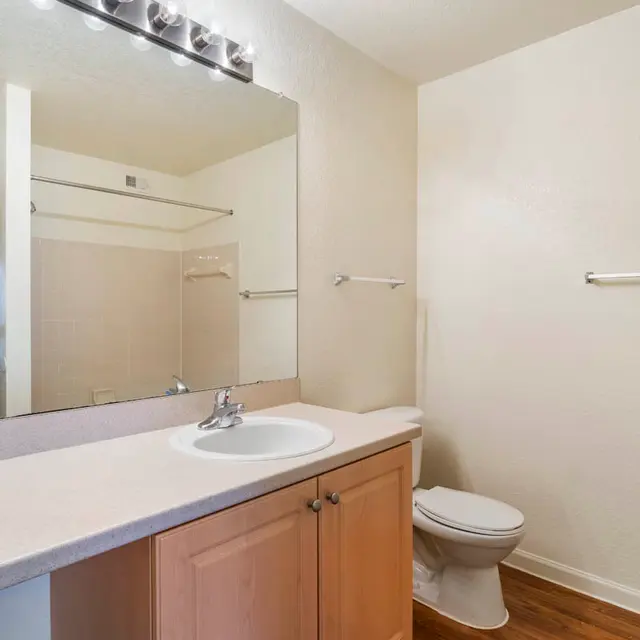 A clean and simple bathroom featuring a wooden cabinet under a sink, a large mirror, and a toilet. The walls are painted a light color, and a walk-in shower is visible at the back.