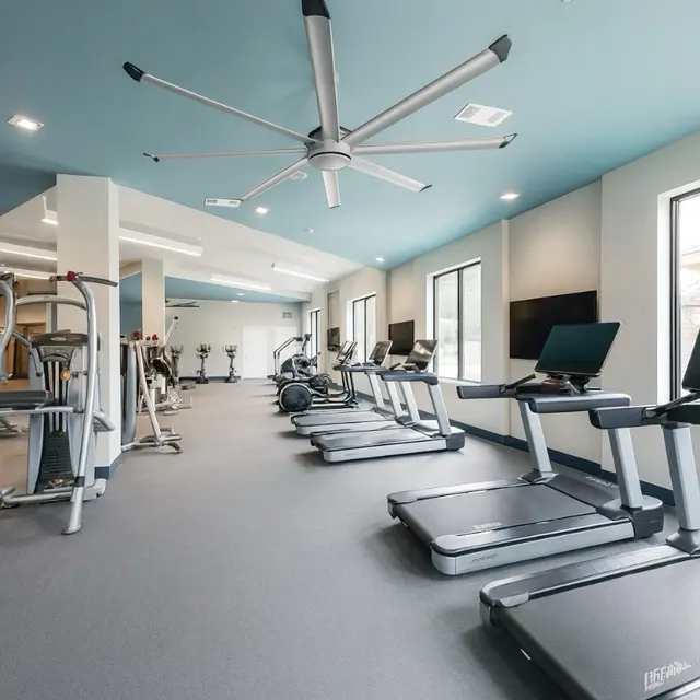 Modern gym interior featuring exercise equipment, including treadmills and weight machines, with large windows promoting natural light.
