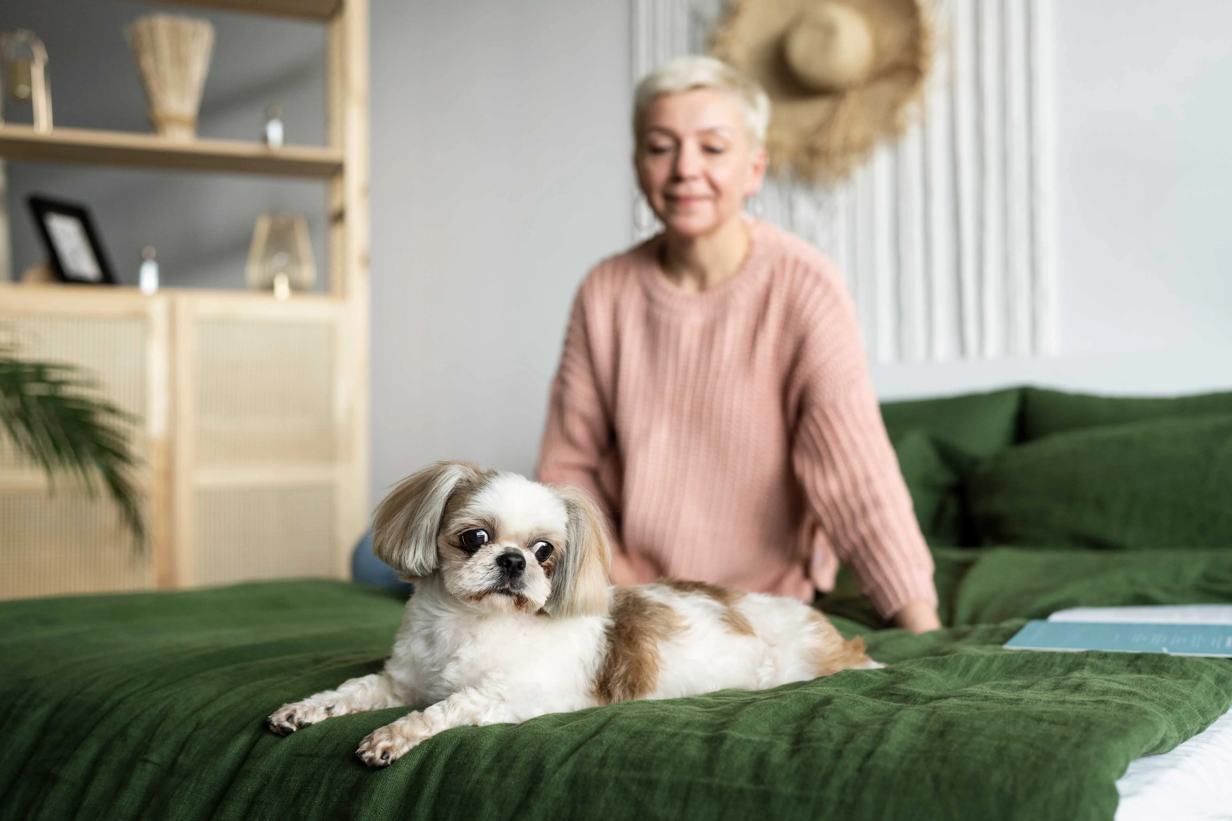 Woman and Dog in Modern Bedroom A woman with short blonde hair wearing a pink sweater sits on a green bedspread beside a small dog with white and brown fur. The background shows a modern room with a wooden shelf and decorative items.
