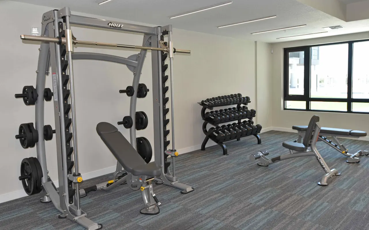 A modern gym area featuring a Smith machine, a rack of dumbbells, and various benches for workouts.