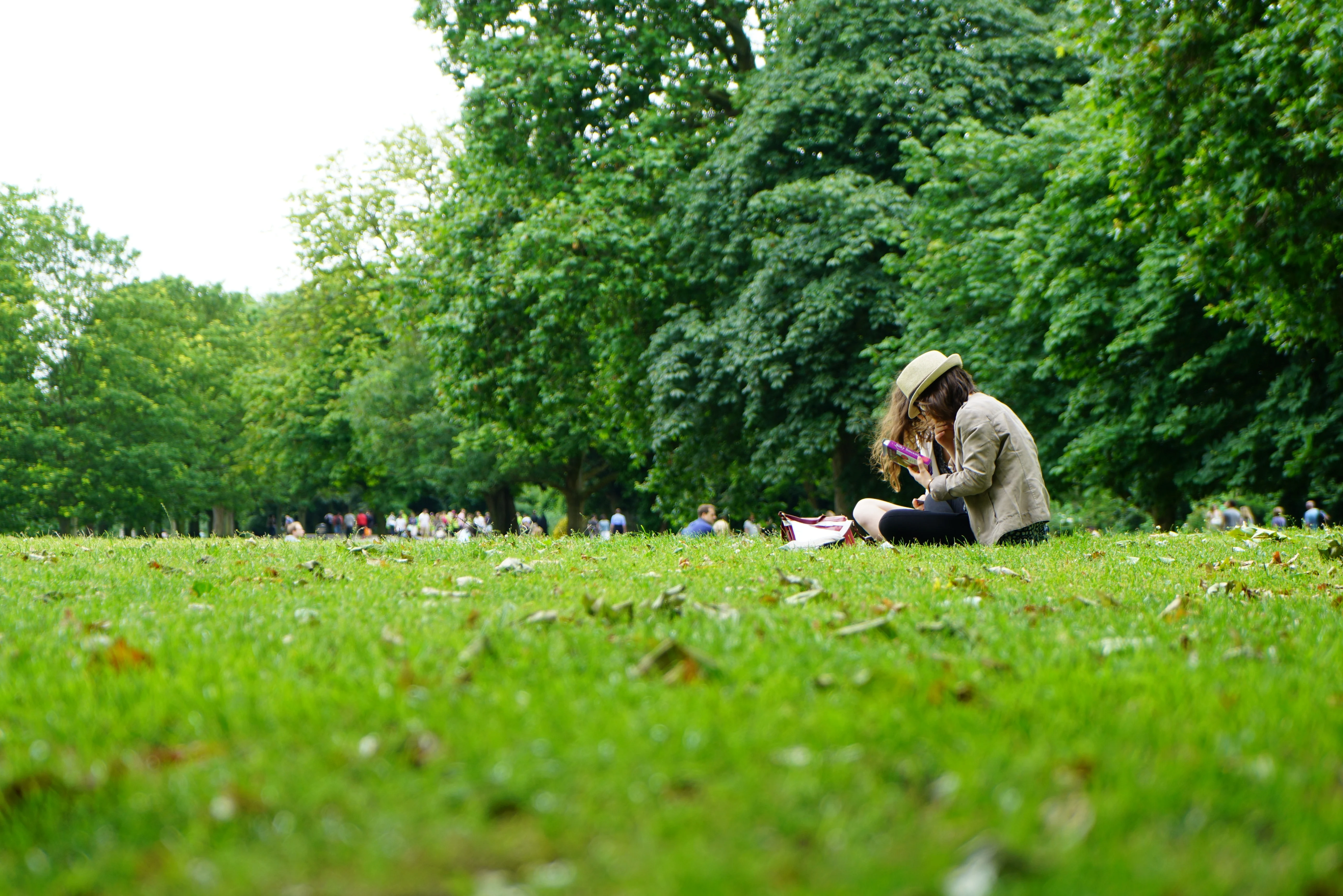 A person sitting on grassy ground in a park, wearing a hat and focused on reading a book or device. Lush green trees surround the area, with a distant view of people enjoying the park.