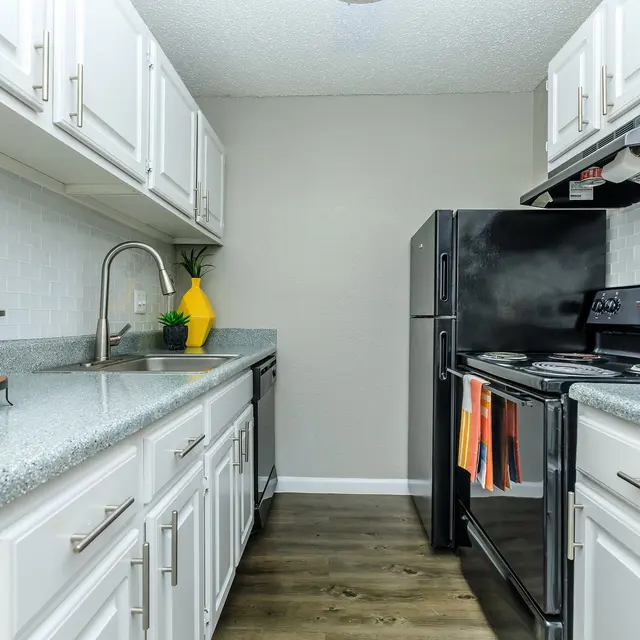 A modern kitchen featuring white cabinetry, gray countertops, and black appliances including a stove and refrigerator. A plant sits on the countertop alongside a plate of food items.