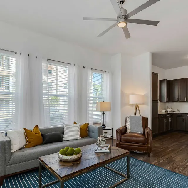 A stylish modern living room featuring a grey sofa with decorative pillows, a wooden coffee table with a bowl of green apples, and a brown leather armchair. The room has large windows with sheer curtains, a ceiling fan, and a view of the kitchen area with dark cabinetry.