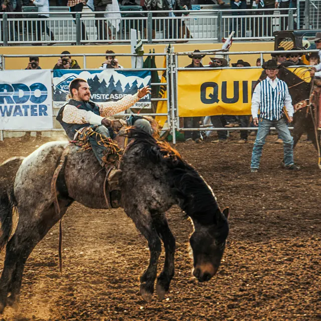 A cowboy riding a bucking horse during a rodeo event. The cowboy is gripping the reins and appears to be focused while trying to maintain balance as the horse bucks beneath him. In the background, spectators can be seen watching the event, with banners for various sponsors displayed around the arena.