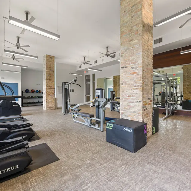 A spacious, modern gym interior with cardio machines, weight training equipment, and a clean, minimalist design featuring stone columns and natural lighting.