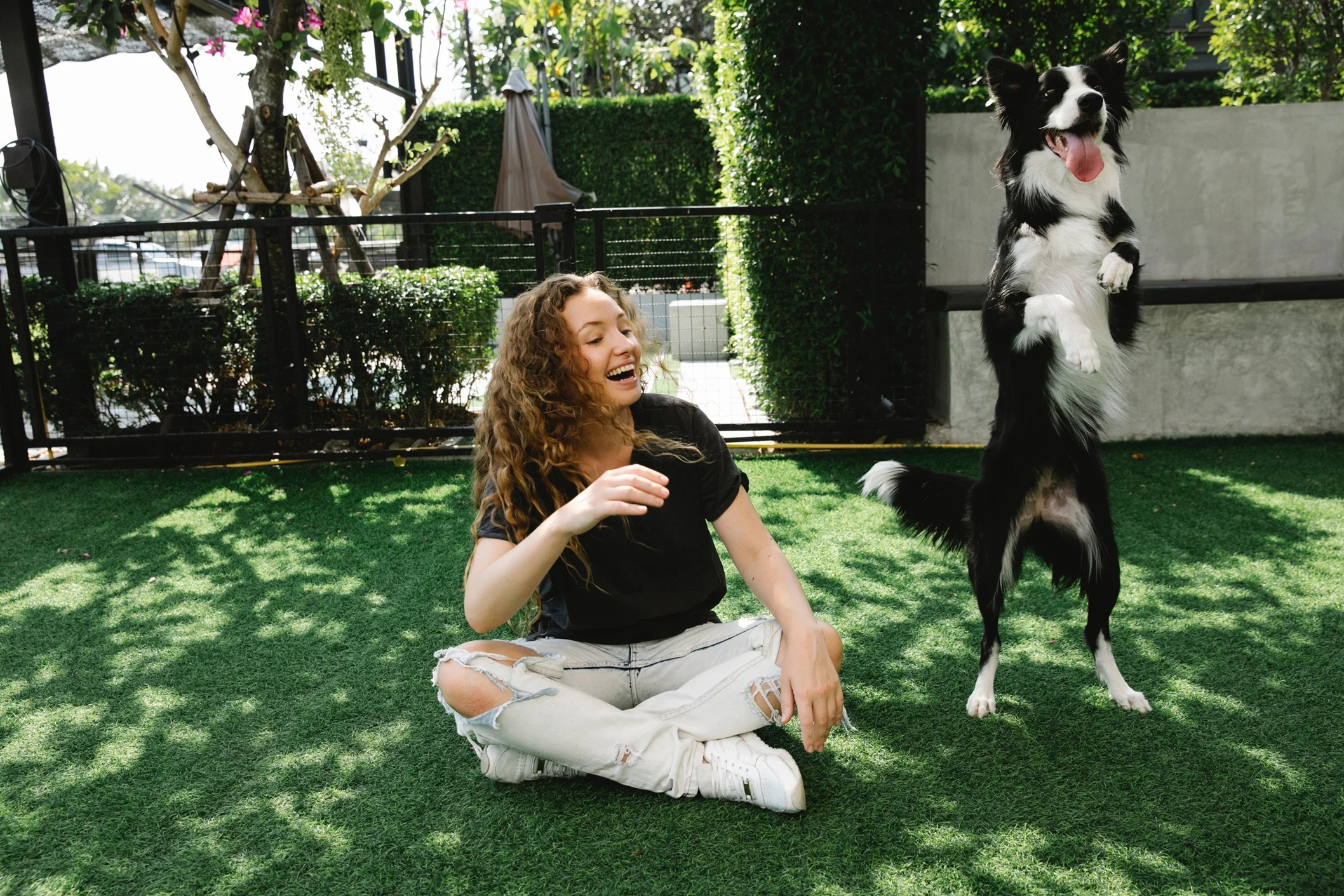 A Joyful Moment with a Dog A woman sitting on the grass, smiling and playing with a dog that is standing on its hind legs.