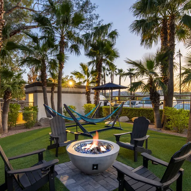 A cozy fire pit area surrounded by palm trees and hammocks in a green space.