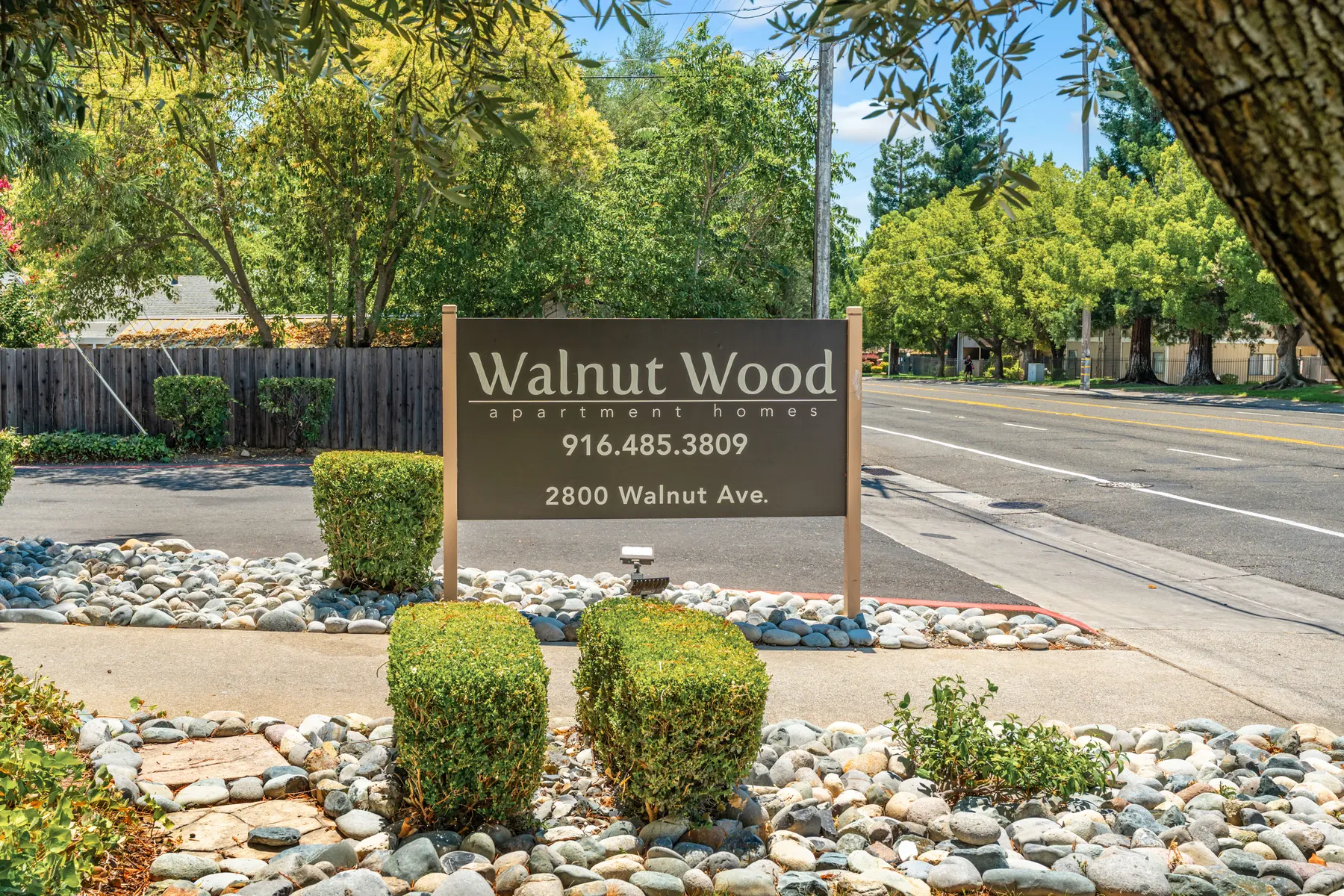 A sign for Walnut Wood Apartment Homes located on Walnut Avenue. The sign features the name of the apartments, a contact number, and the address. Surrounding the sign are well-maintained bushes and decorative gravel.