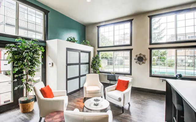Bright and Modern Living Room A bright and airy living room featuring two white armchairs with orange cushions, a round table at the center, and large windows allowing natural light. There is a potted plant in the corner and a dark wood countertop along one wall.