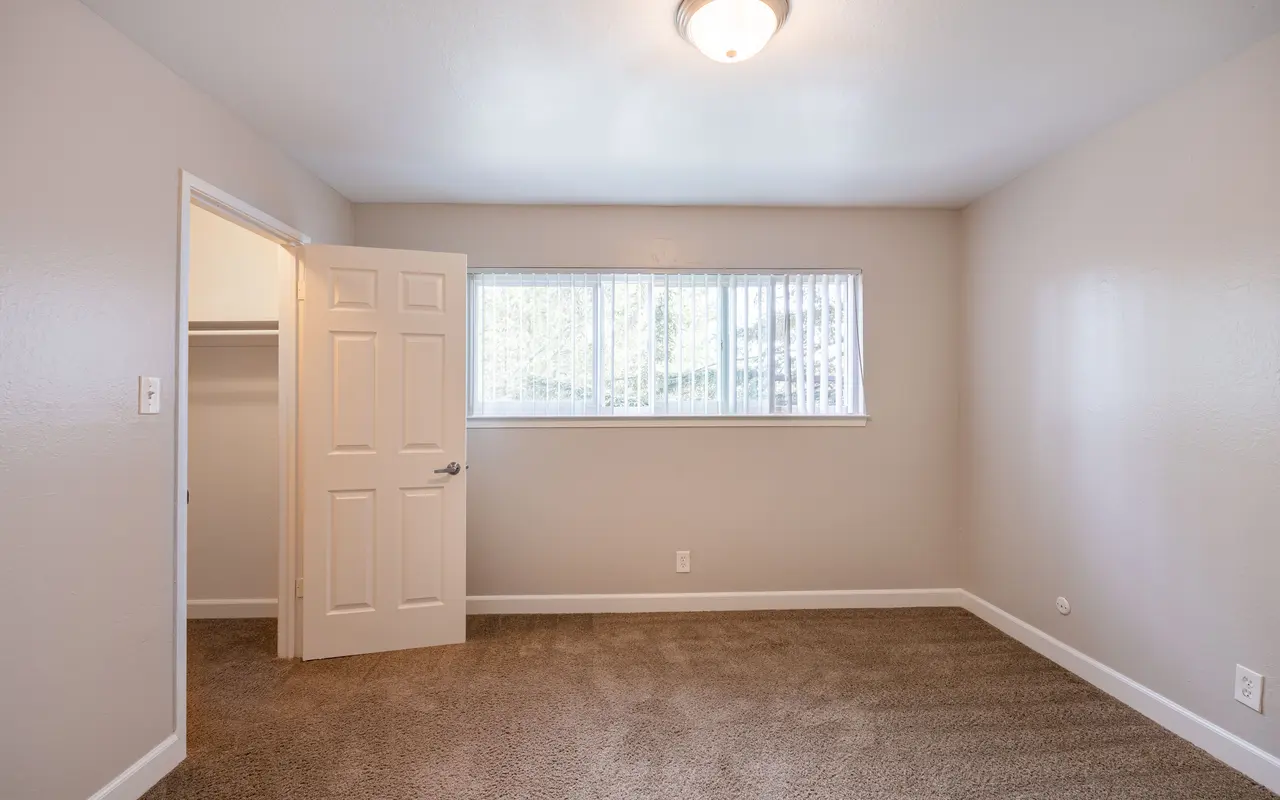 A vacant room with light grey walls, a plush brown carpet, and a single window covered with blinds. A closet door is open on the left side.