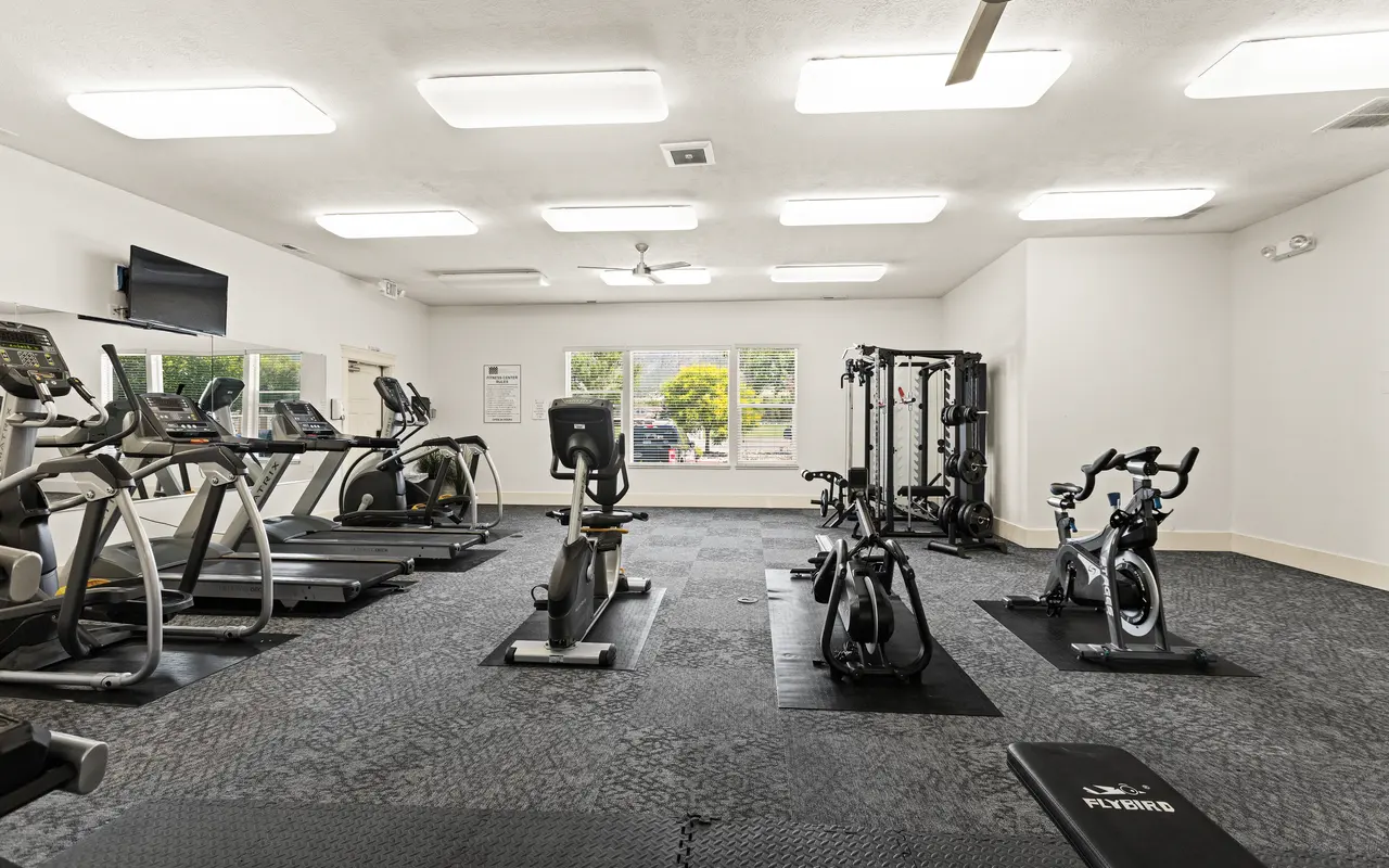 Interior of a Modern Gym A spacious gym interior featuring various exercise machines including treadmills, elliptical trainers, stationary bikes, and weight training equipment. The floor is covered with black rubber matting, and there are large windows allowing natural light to fill the room.