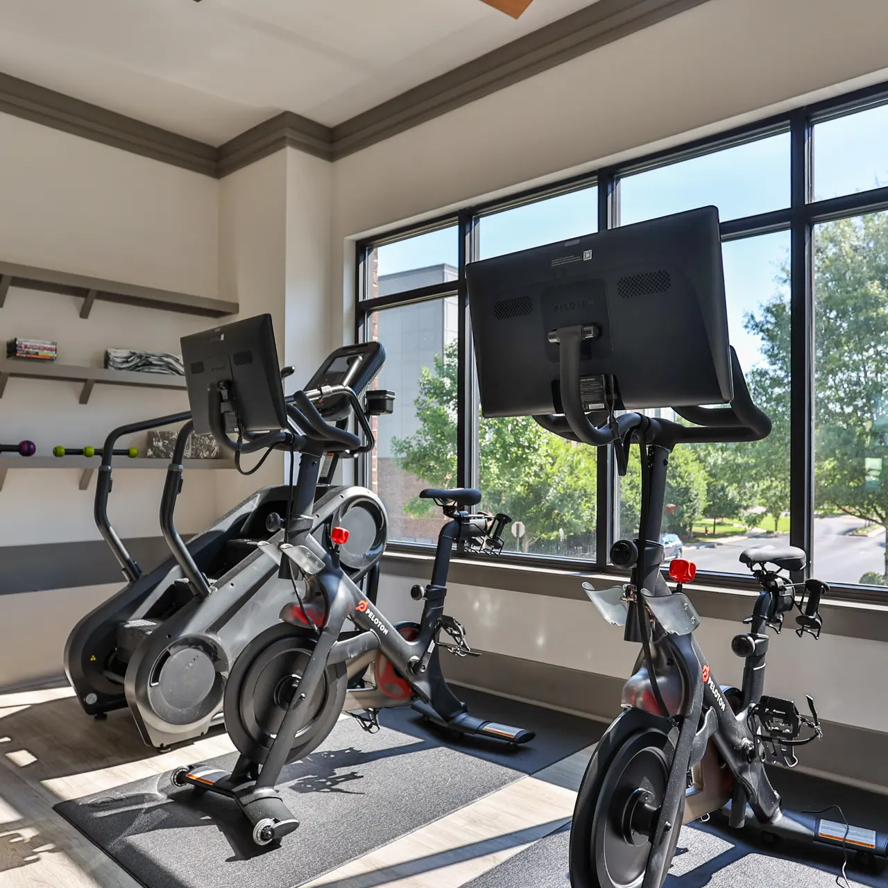 Modern Gym Interior A modern gym interior featuring exercise equipment including stationary bikes and resistance bands, with large windows providing natural light.