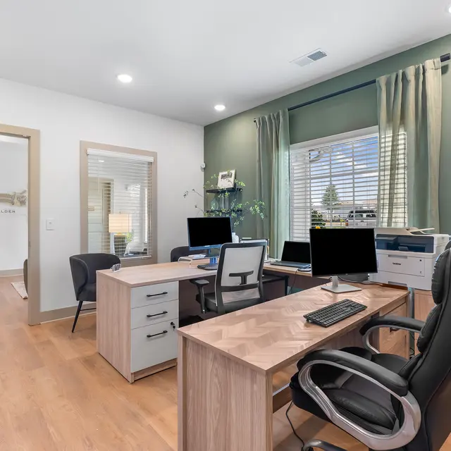 A modern home office featuring two desks with computers, ergonomic chairs, and a large window with curtains. The room has a green accent wall and warm wooden flooring.