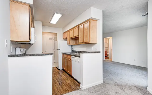 A modern kitchen area with wooden cabinets and a dishwasher next to a living space visible in the background.