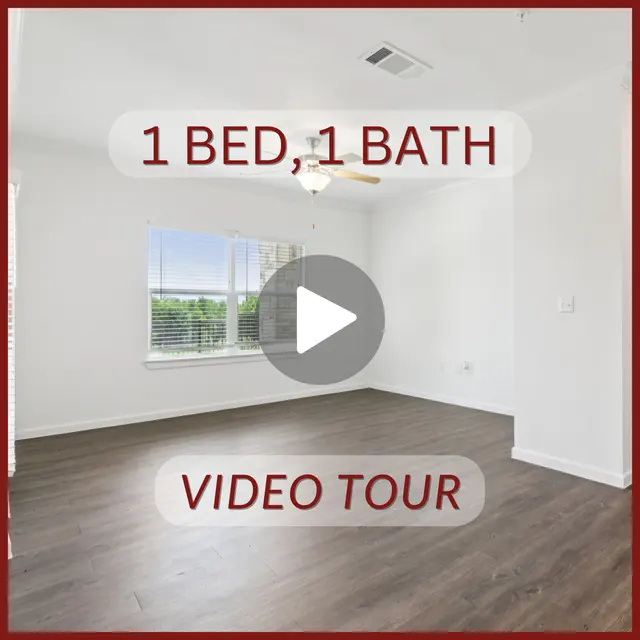 1 Bed 1 Bath Bellingham 
