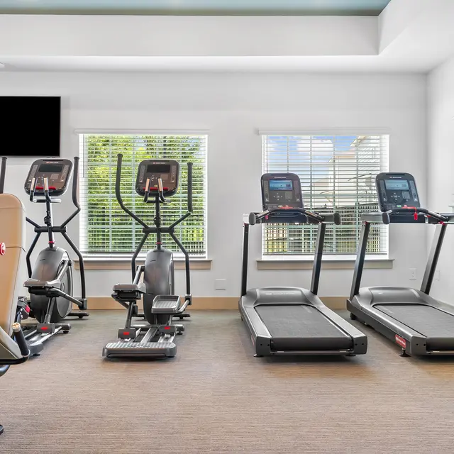 A modern gym interior featuring exercise equipment including elliptical machines and treadmills, with large windows letting in natural light.