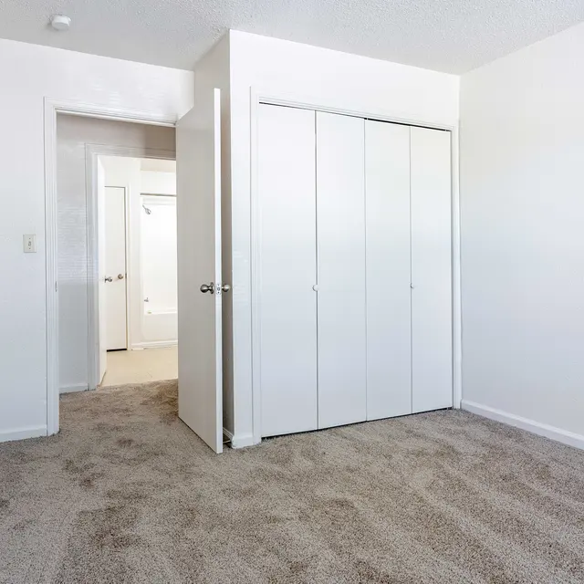 A spacious empty room with light-colored walls and plush carpeting. A closed door can be seen on the left and a closet with sliding doors on the right. In the background, another door leads to a bathroom area.