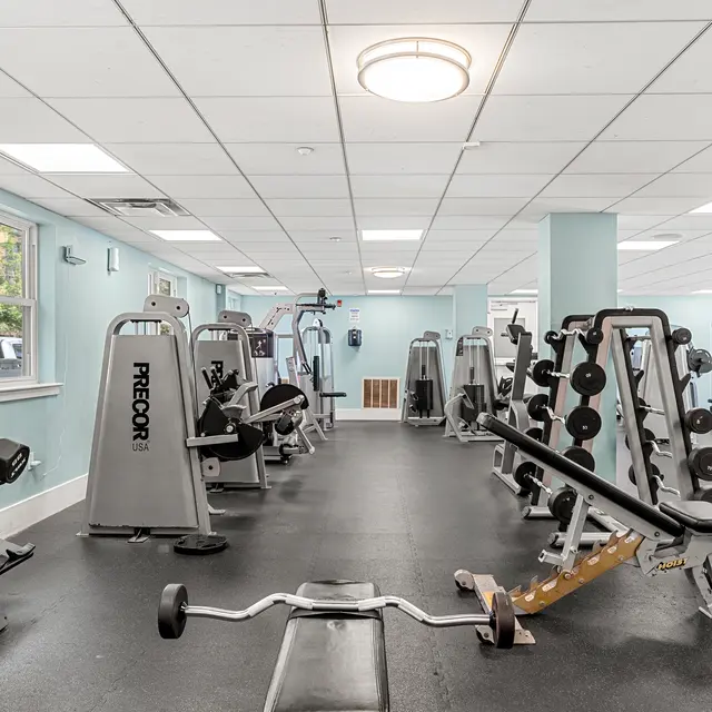 A bright and spacious gym with multiple exercise machines and free weights organized neatly.