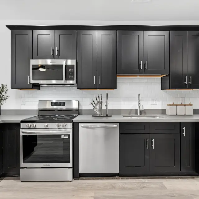 A modern kitchen featuring black cabinetry, stainless steel appliances, and a light gray countertop.