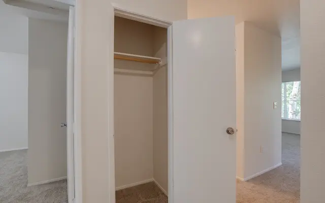 Interior view of a room featuring an open closet with a shelf, beige walls, and carpeted flooring.