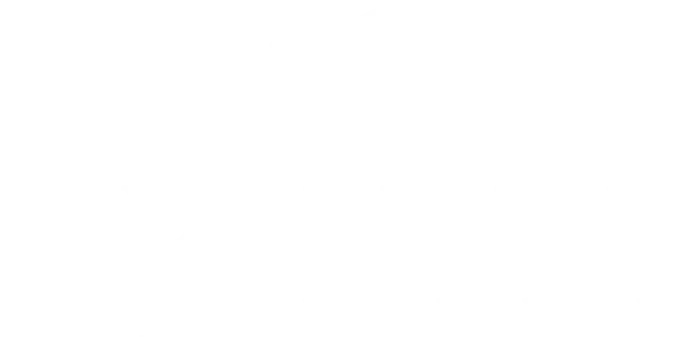 Trinity Sherman Logo Logo for Trinity Sherman, featuring the word 'Trinity' in large white letters with 'Sherman' in smaller letters below, accompanied by a graphic design element that resembles stylized branches or lines above.