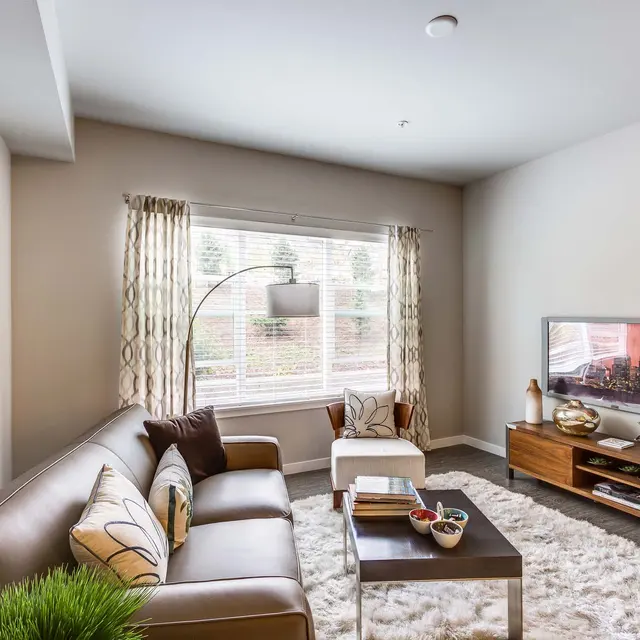 A modern living room with a light color scheme, featuring a leather sofa, a stylish armchair, a coffee table, and a television. There are decorative plants and a large window with sheer curtains letting in natural light. A piece of abstract artwork is displayed on the wall.