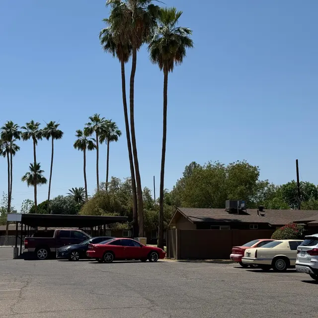 A parking lot surrounded by palm trees and buildings under a clear blue sky.