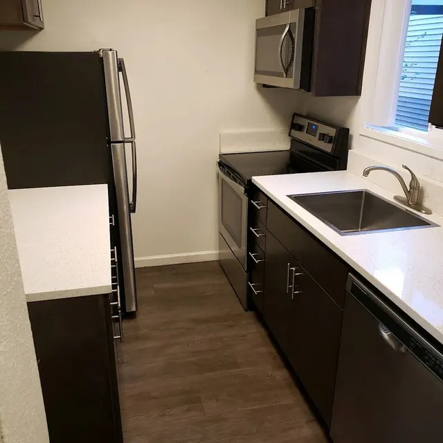 A modern kitchen featuring stainless steel appliances, dark wooden cabinetry, and a white countertop with a sink. The kitchen is compact and well-lit, with a window providing natural light.