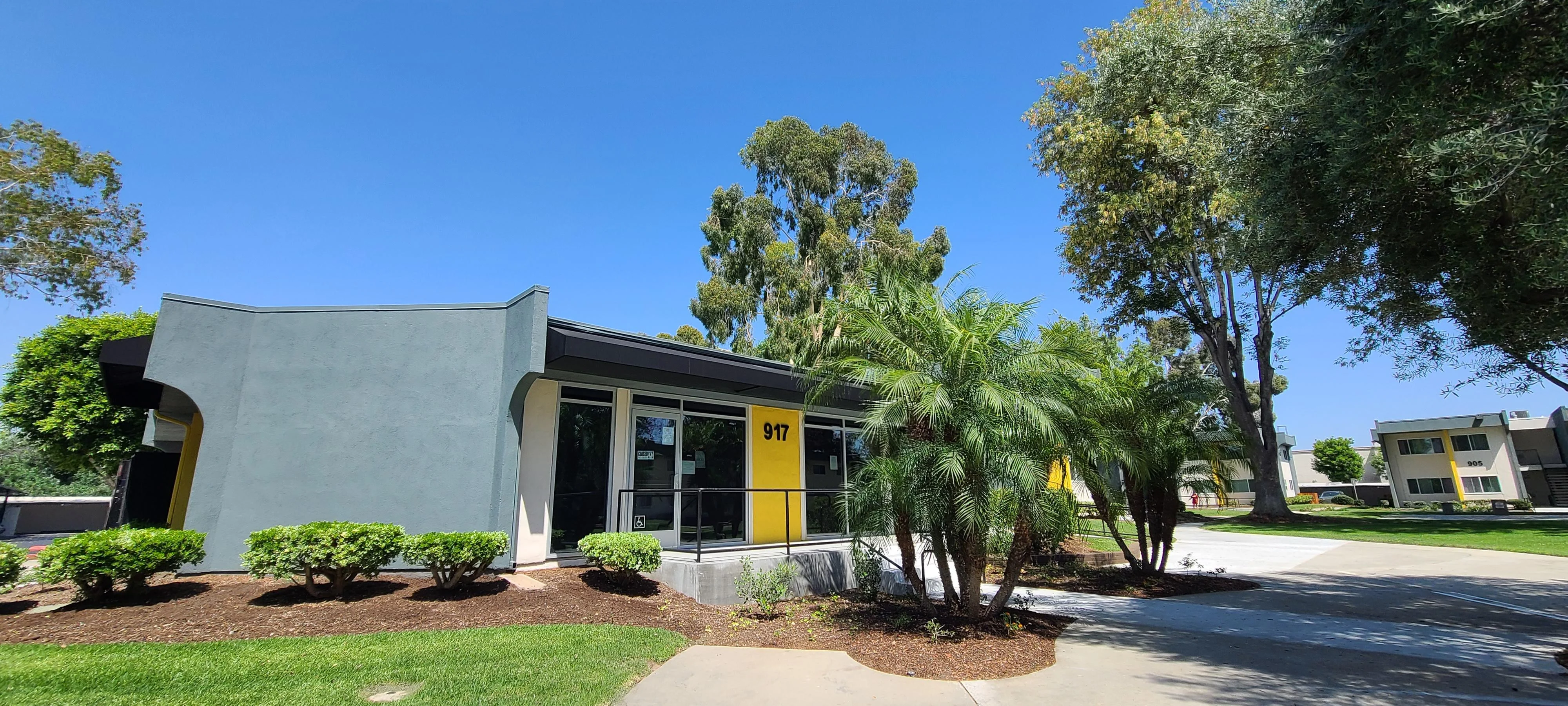 Modern Building Exterior A modern building with a yellow accent, surrounded by green landscaping, including palm trees and shrubs under a clear blue sky.