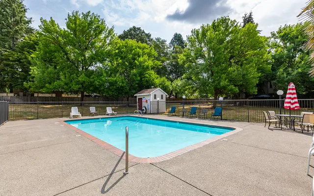 A tranquil swimming pool surrounded by green trees and lounge chairs.