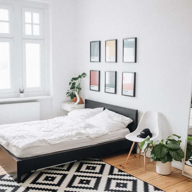 A modern bedroom featuring a bed, white walls, colorful framed art, a patterned rug, and indoor plants.