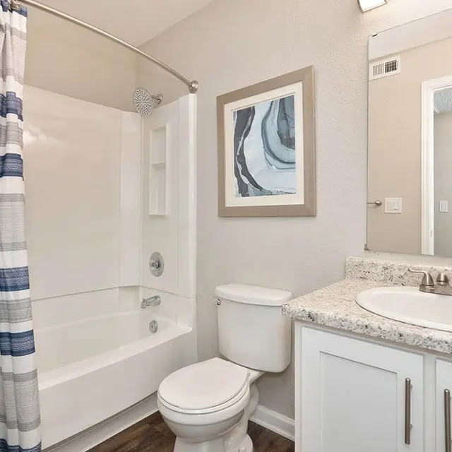 A modern bathroom featuring a white tub with a striped shower curtain, a white toilet, and a double sink vanity with granite countertop. A potted plant decorates the vanity, and a mirror reflects another room.