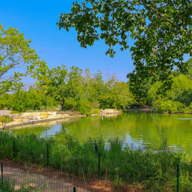 Buffalo Bayou Park A serene park landscape featuring a pond surrounded by lush greenery and trees under a clear blue sky.