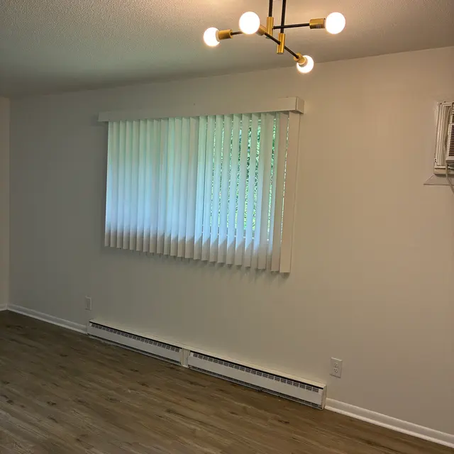 A bright and minimalistic room with a window covered by vertical blinds, a ceiling light fixture with multiple bulbs, and wood laminate flooring.