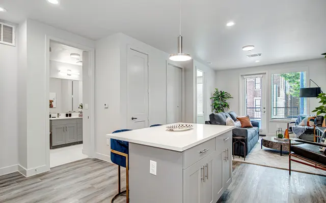 A modern apartment interior featuring an open kitchen with a gray kitchen island, blue bar stools, and a cozy living room area with a gray sofa and plants.