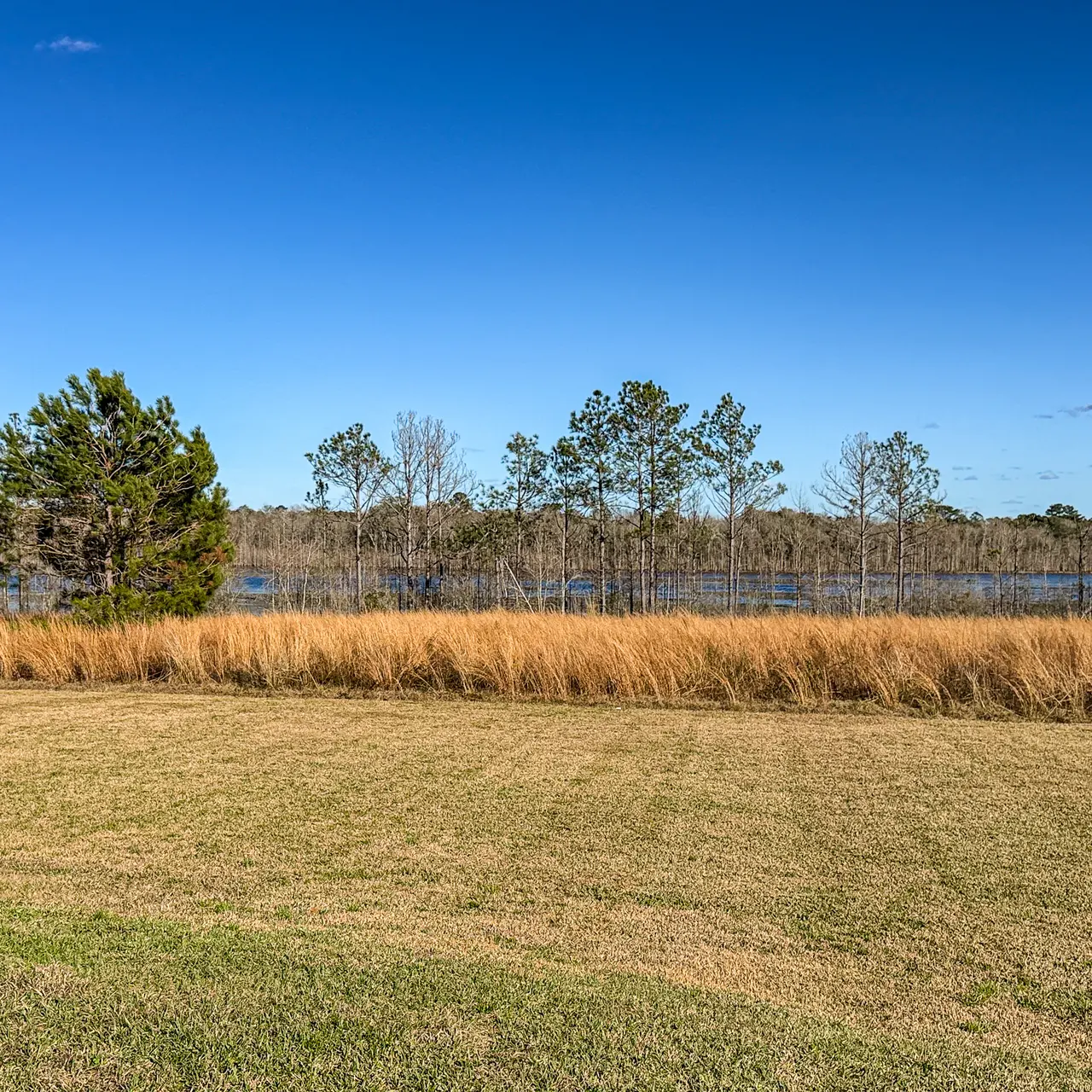 Lake, Nature, Landscape