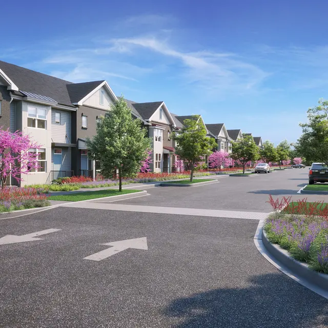 A picturesque suburban street lined with houses and blooming cherry blossom trees, with vibrant flower beds along the road.