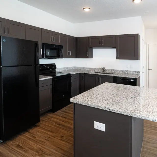 A modern kitchen featuring dark cabinetry, granite countertops, and stainless steel appliances. The kitchen includes a black refrigerator and a small island with additional counter space.