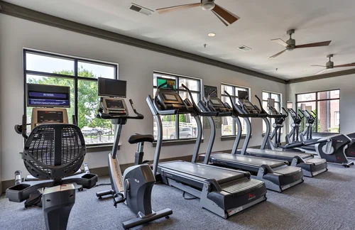Modern Fitness Center with Cardio Equipment A modern gym interior featuring several treadmills, ellipticals, and exercise bikes with large windows allowing natural light and ceiling fans for ventilation.