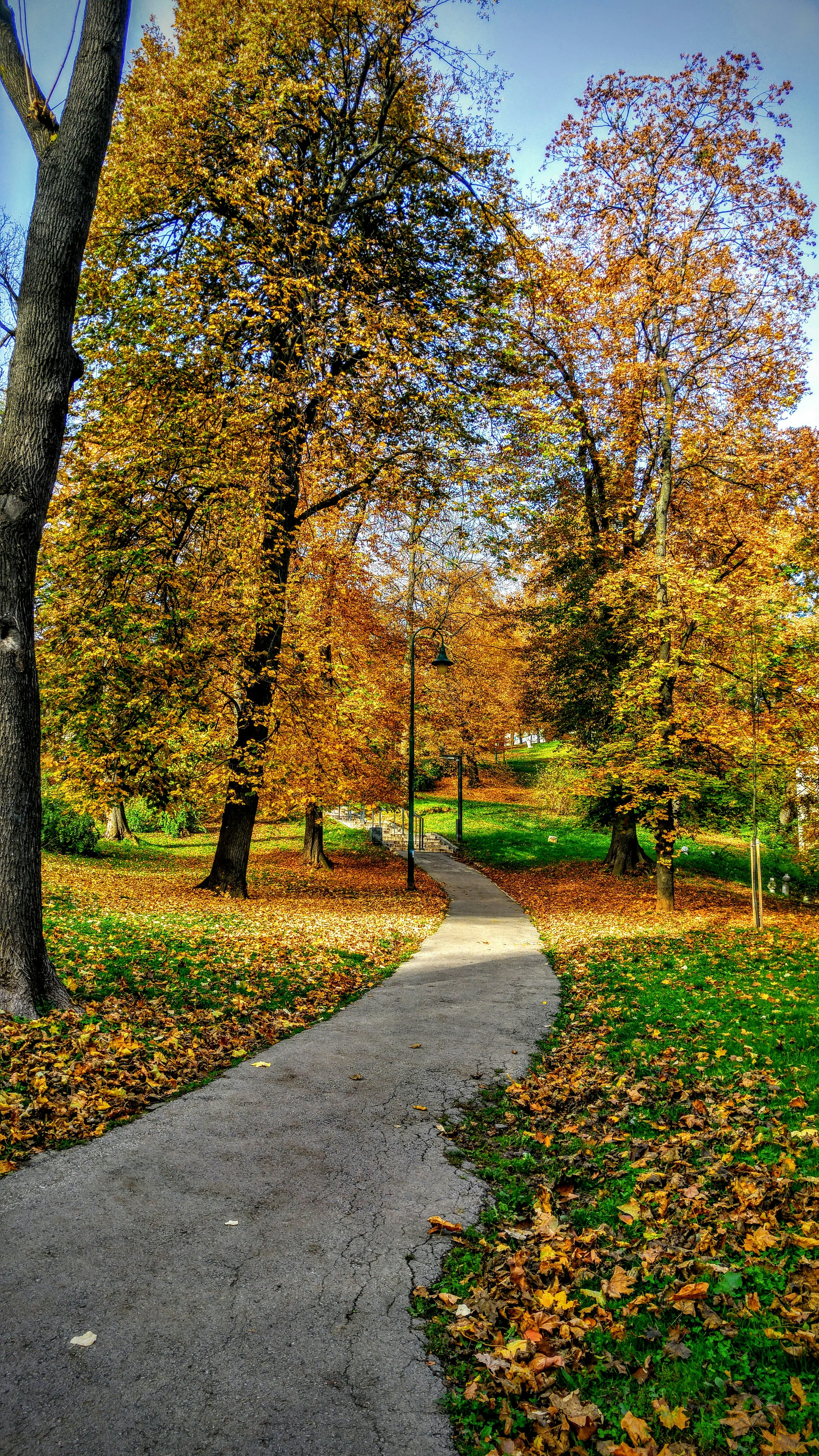 A winding pathway lined with trees displaying vibrant autumn foliage, leading through a picturesque park setting.