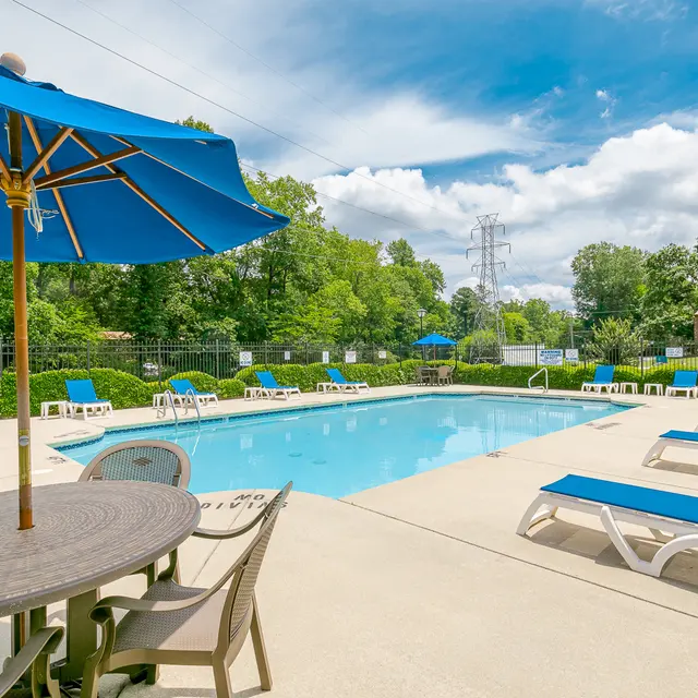 A sunny outdoor swimming pool area with blue lounge chairs and umbrellas, surrounded by greenery.